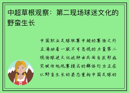 中超草根观察：第二现场球迷文化的野蛮生长