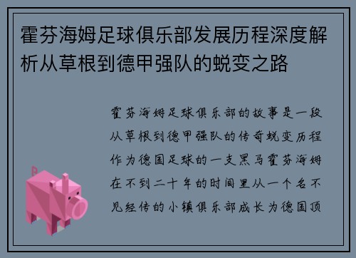 霍芬海姆足球俱乐部发展历程深度解析从草根到德甲强队的蜕变之路